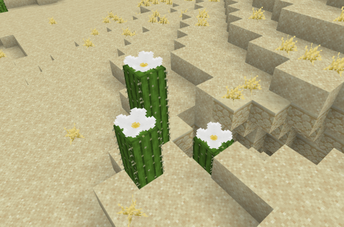 natural-structure-redone-v2-arid-update_5.png
