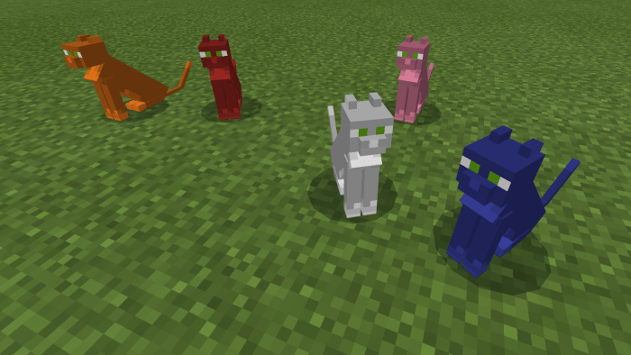 cats-addon_4.png